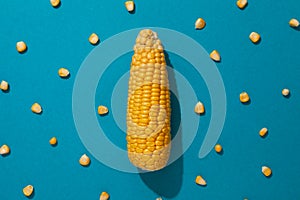 Flat lay with fresh corn on turquoise background