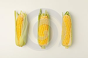 Flat lay with fresh corn on background, top view