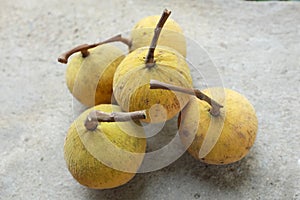 Flat lay Fresh Ripe Santol or Sentul fruit Sandoricum koetjape isolated on On cement floor background.Tropical fruits of Thailand