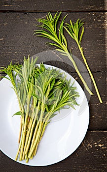 Flat lay of green willowherb or known as fireweed Chamaenerion angustifolium young fresh shroots.