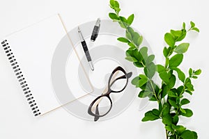 Flat lay home office desk. Female workspace with blank paper notebook, pen, glasses and banch of barberry. Top view feminine