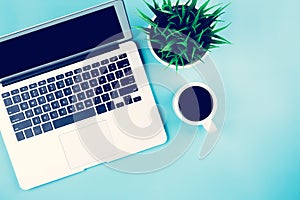 Flat lay of Laptop computer and plant and cup of coffee on desk in office, workplace and notebook and potted tree, workspace and