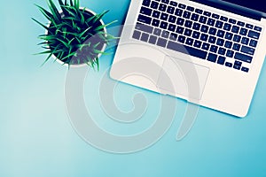 Flat lay of Laptop computer and plant on desk in office, workplace and notebook and keyboard and potted tree.