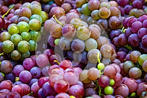 flat lay  a lots of organic wine grapes  concept wine  crop and juice