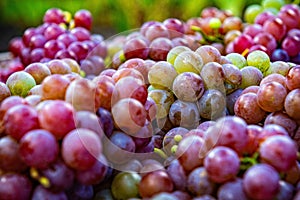 flat lay  a lots of organic wine grapes  concept wine  crop and juice