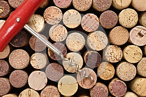 Flat lay of many wine corks and corkscew, wine treat and drink mock up