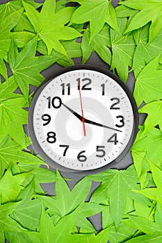 Flat lay of a modern black and white wall clock on green Japanese maple leaves