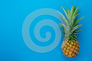 Flat lay object the fresh pineapple on modern rustic blue paper wallpaper.