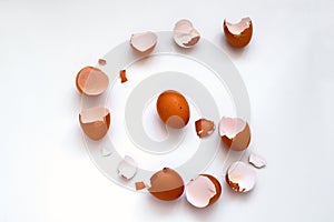 flat lay one brown egg and egg shells on a white background
