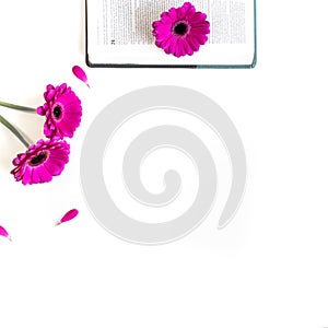 Flat lay: open Bible, book and pink, purple, violette, red Gerbera flower with petals