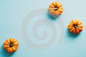 Flat lay orange pumpkins on bright blue background. Minimal style. Halloween or Thanksgiving day concept