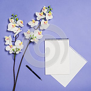 Flat lay photo of a creative freelancer woman workspace desk with copy space background.