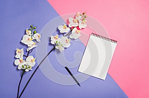 Flat lay photo of a creative freelancer woman workspace desk with copy space background.