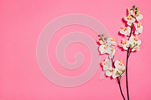 Flat lay photo of a creative freelancer woman workspace desk with copy space background.