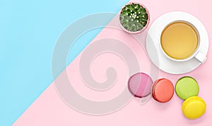 Flat lay photo of office desk with tea mug, cactus, macaroons pink and blue background