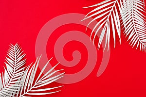 Flat lay photo of white tropical leaves on red background with empty space