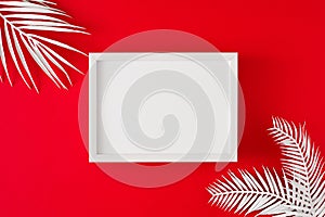Flat lay photo of white tropical leaves on red background with frame