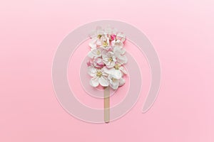 Flat lay on pink background with apple blossom ice cream lolly on a stick