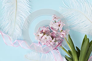 Flat lay of pink hyacinth flowers with white feathers on pastel blue or cyan colors. Spring coming concept in minimalist