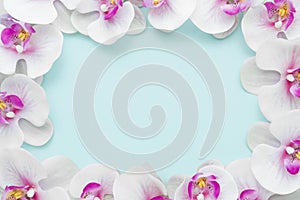 flat lay pink orchids frame. High quality beautiful photo concept