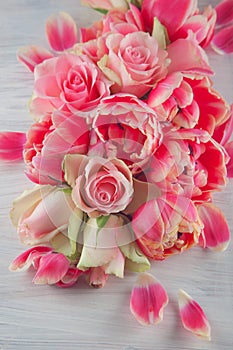 Flat lay with pink tulips and roses blossom flowers over white wood background, top view.