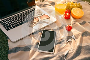 Flat lay of plates with fruits and laptop with some other work objects on green grass