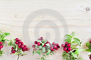 Flat lay red ripe lingonberry, Cowberry, foxberry, on light wooden background.