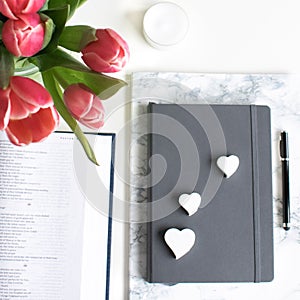 Flat lay: Red tulip, red petals and a Bible on a white table