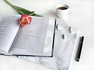 Flat lay: Red tulip, red petals and a Bible on a white table