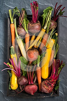 Flat lay of root vegetables.
