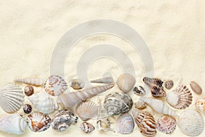 Flat lay of seashells on white sand background, concept of beach vacation, top view with copy space