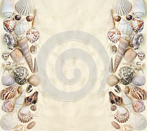 Flat lay of seashells on white sand background, concept of beach vacation, top view with copy space