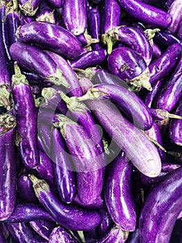 Flat lay shot a fresh eggplant