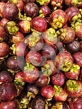 Flat lay shot a mangosteen for sell in the supermarket