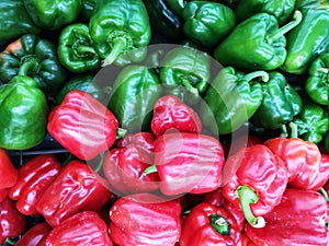 Flat lay shot a Red and Green Capsicums background.