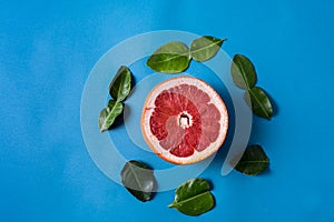 Flat lay slices of different raw fresh citrus fruit over blue background