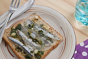 Flat lay of some anchovies seasoned with oil, vinegar, garlic and parsley on a plate