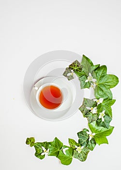 Vertical flat-lay pattern with ivy leaves and white spring flowers together with a cup of tea. White background. Copy space.