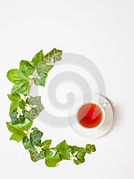 Vertical flat-lay pattern with ivy leaves and white spring flowers together with a cup of tea. White background. Copy space.