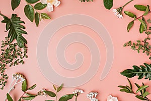 flat lay spring, flower, leaf, and nature background