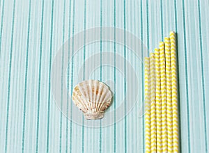 Flat lay, summer, work the freelance