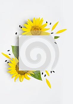 Flat lay Sunflower mockup. Beautiful fresh yellow sunflower, green leaves, petals, blank sheet of paper on light gray background