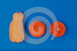 Flat lay of three pumpkins of different types on a blue background. Bright contrasting colors. Minimalism