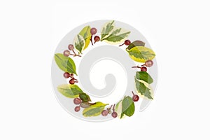 Flat lay, top view, composition of leaves, berries and seeds laid out in a round frame on a white background, postcard concept for