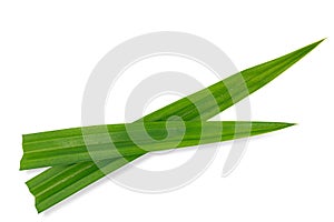 flat lay top view pandan isolated om white background with clipping pat