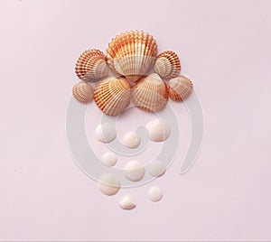 Flat lay. Top view. Seashells of various kinds on background.