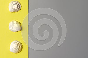 Flat lay in a trendy 2021 new colors. Illuminating Yellow and Ultimate Gray