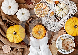 Flat lay varied Pumpkins on  wooden background. Autumn cozy concept,