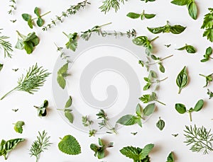 Flat-lay of various fresh green kitchen herbs. Parsley, mint, dill, basil, marjoram, thyme on white background, top view. Spring