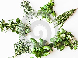 Flat-lay of various fresh green kitchen herbs. Parsley, mint, savory, basil, rosemary, thyme over white background, top view.